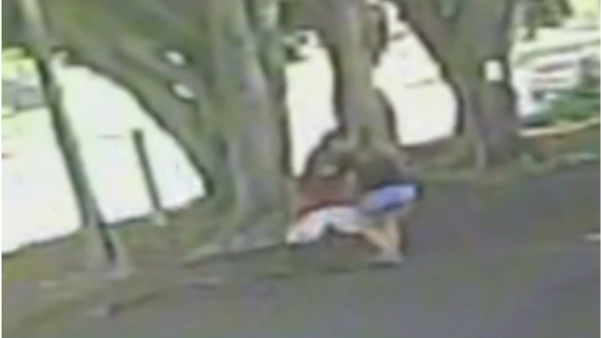 Homem que assaltou mulher e a agrediu é preso em Limeira