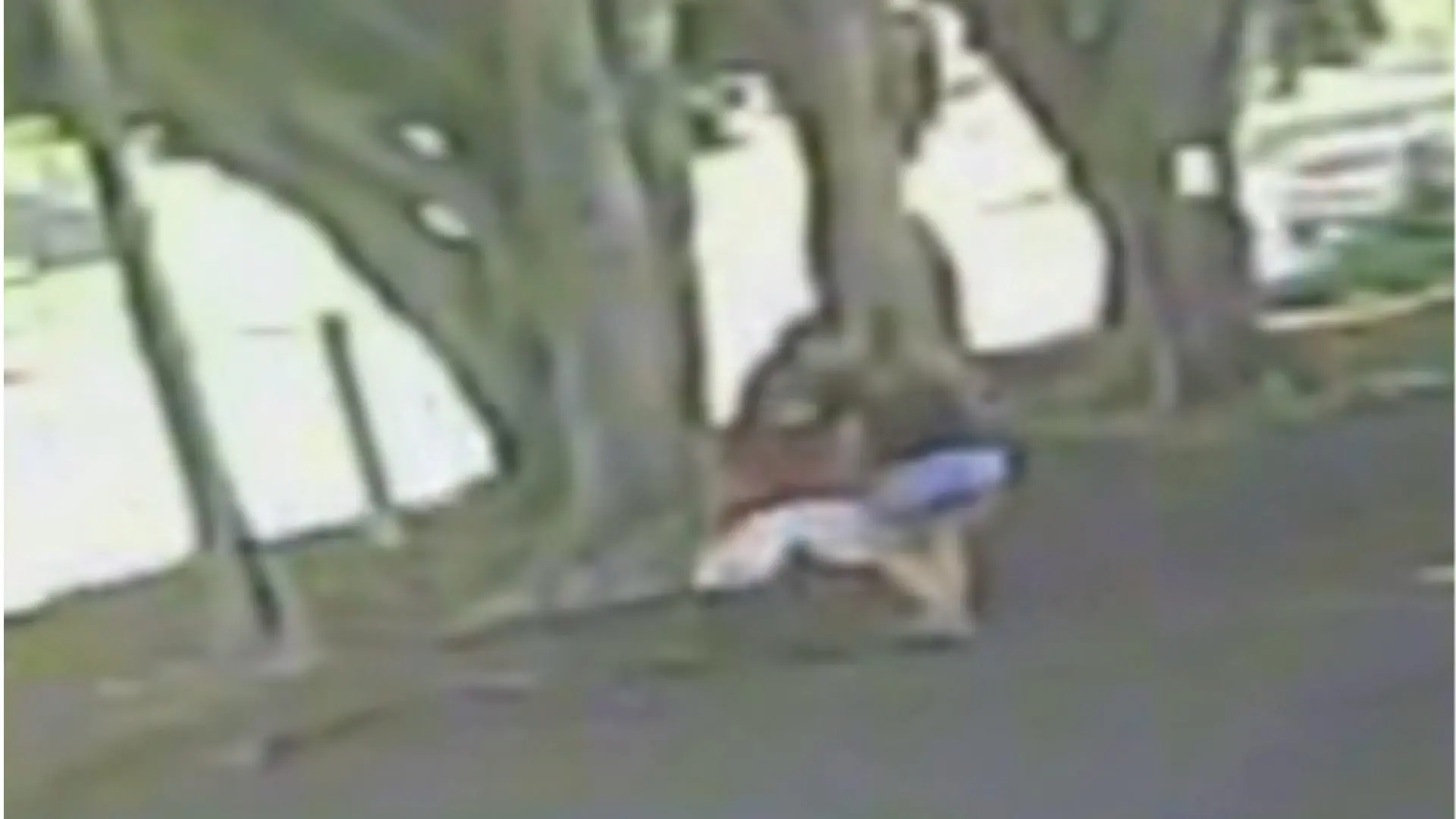 Homem que assaltou mulher e a agrediu é preso em Limeira