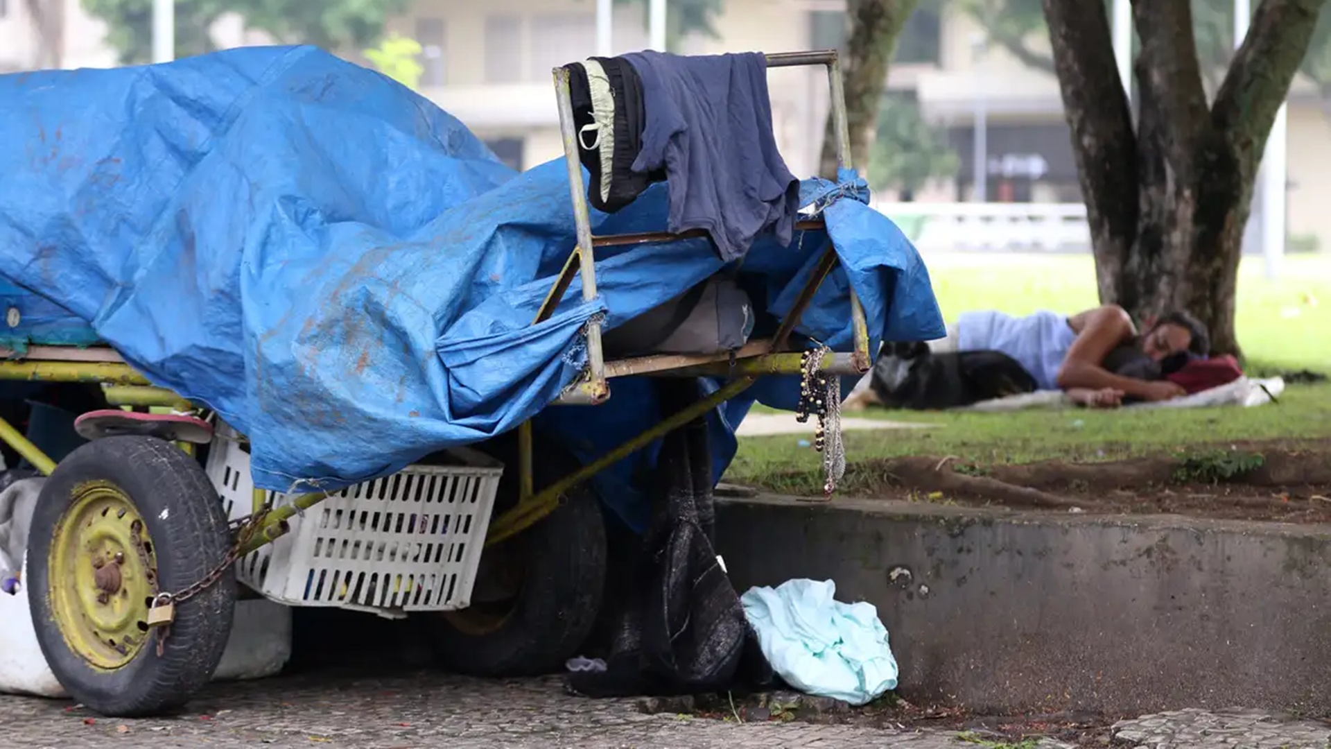 Mais de 335 mil pessoas vivem em situação de rua no Brasil