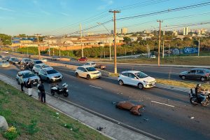 Motociclista fica ferido ao atingir cavalo no viaduto Paulo Natal, em Limeira