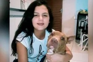 Mulher é morta pelo próprio pitbull em GO