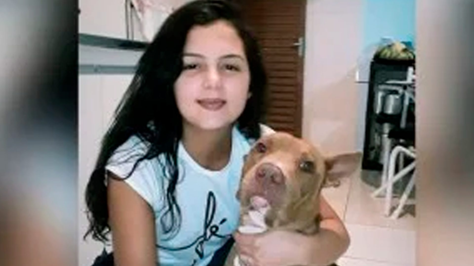 Mulher é morta pelo próprio pitbull em GO