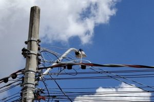Postes apagados em 42 locais de Limeira vereador solicita manutenção urgente