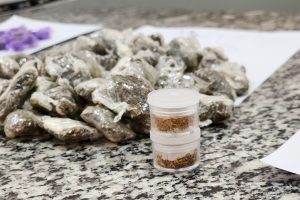 Suspeito é detido por tráfico de drogas no Parque Hipólito