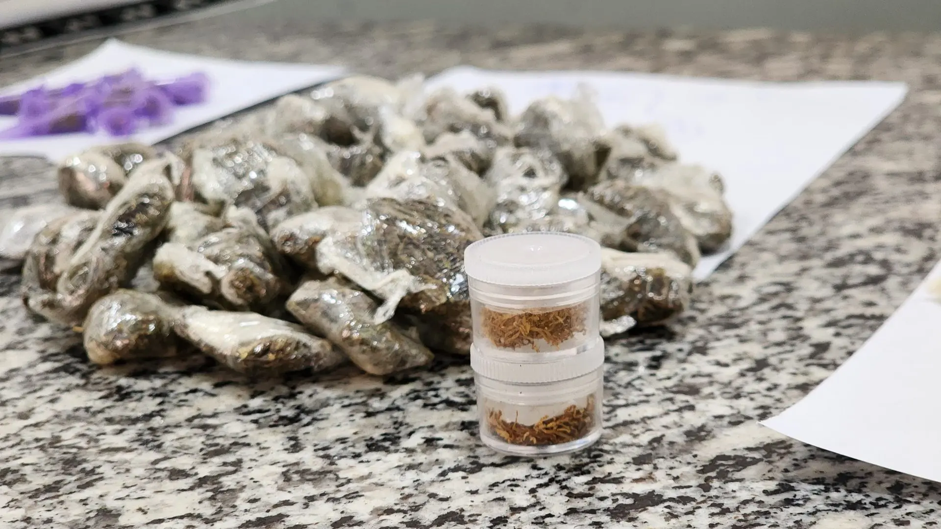 Suspeito é detido por tráfico de drogas no Parque Hipólito