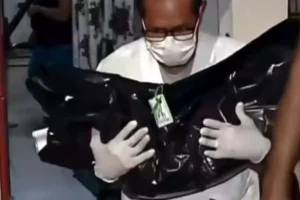 Tutora esconde bebê em guarda-roupa para evitar ataque, mas pitbull encontra e mata criança