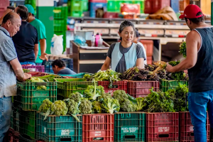 Anvisa inicia monitoramento de resíduos de agrotóxicos em alimentos