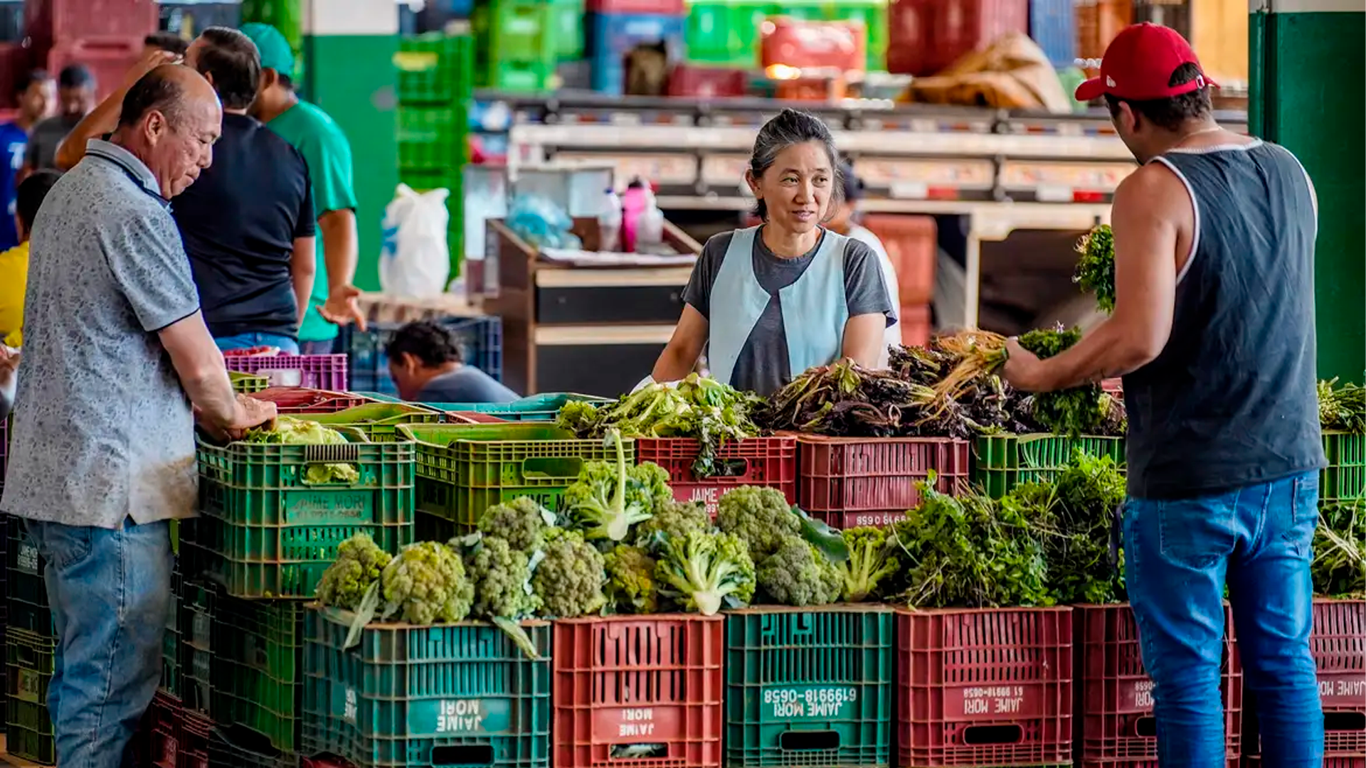 Anvisa inicia monitoramento de resíduos de agrotóxicos em alimentos