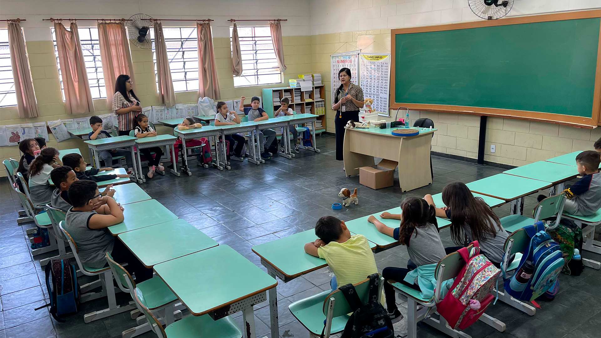 Campanha contra maus-tratos atinge 1.362 pessoas em Limeira com ações educativas