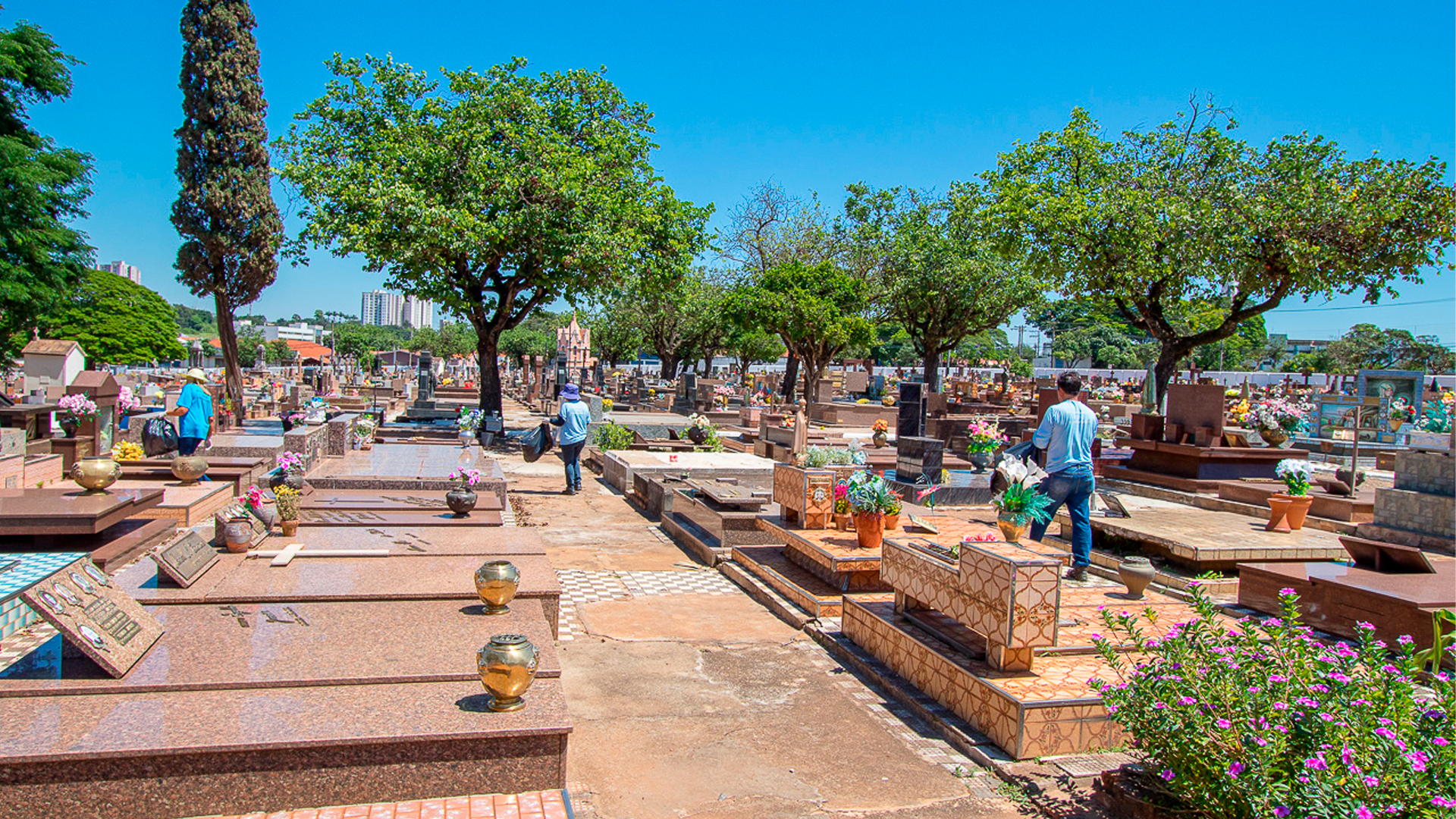Cemitérios de Limeira devem receber 20 mil pessoas no Dia das Mães; veja orientações