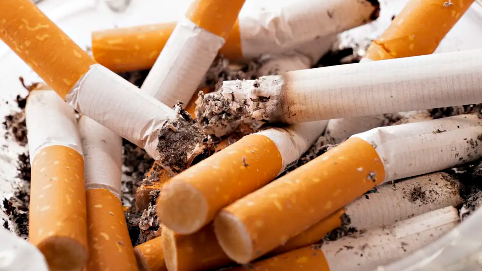 Cigarro R$ 1 de lucro da indústria equivale a R$ 5 gastos com doenças