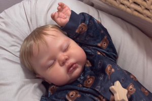 Disputa por guarda de bebê reborn vai parar na Justiça