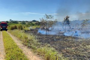 Incêndio de grandes proporções atinge área de mata em Limeira