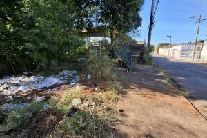 Lixo e mato alto preocupa pedestres que utilizam passarela da Boa Vista