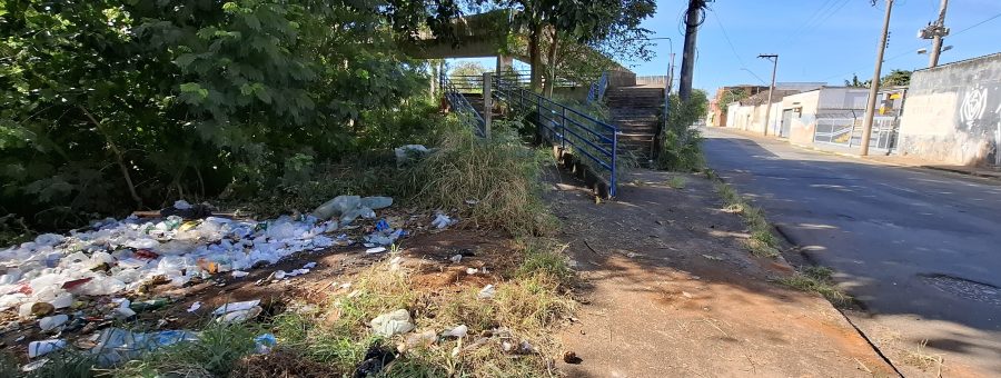 Lixo e mato alto preocupa pedestres que utilizam passarela da Boa Vista