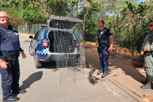 Morador de rua é preso furtando grade das instalações do Sesc em Limeira