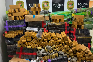 Motorista é preso com maconha em rota do tráfico para Campinas