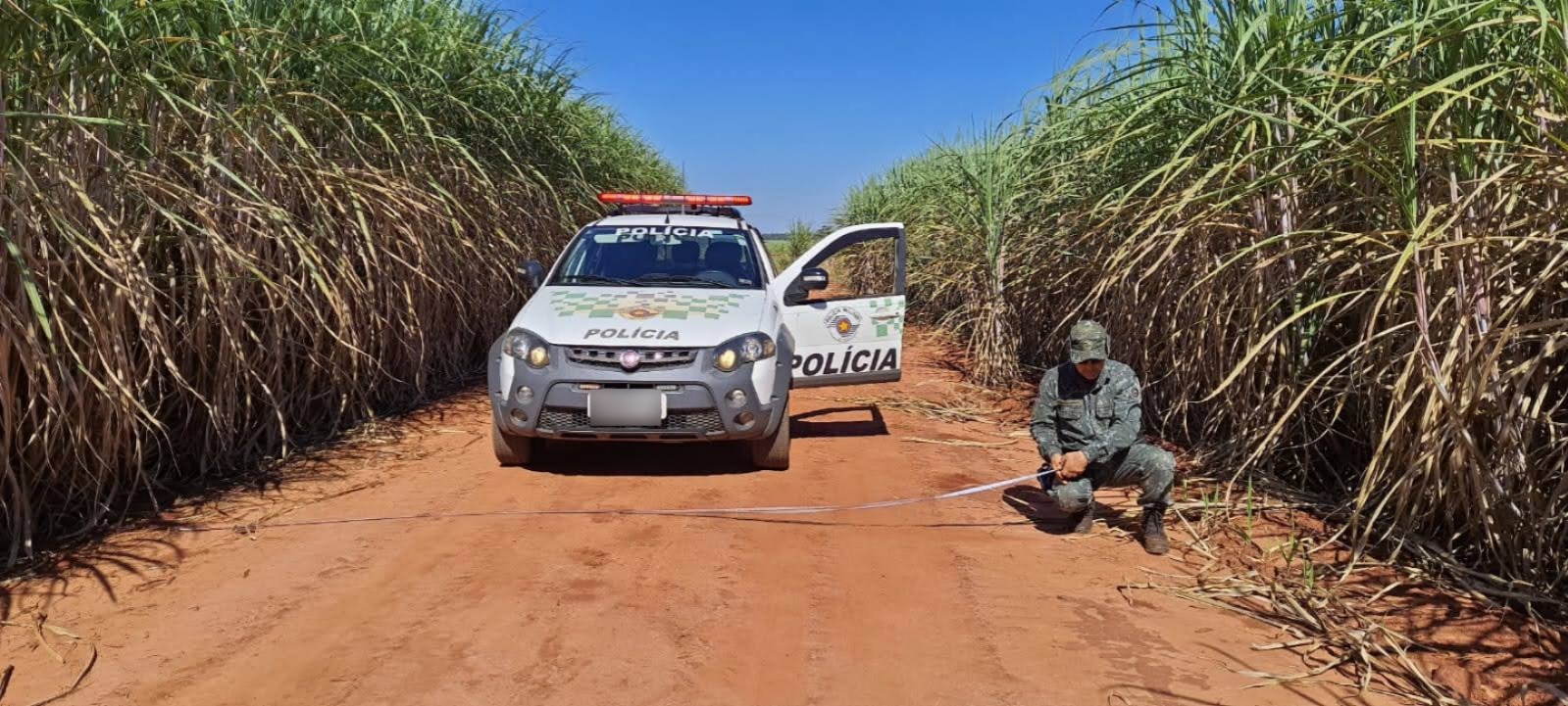 PM Ambiental intensifica fiscalização para prevenir incêndios florestais em todo o estado