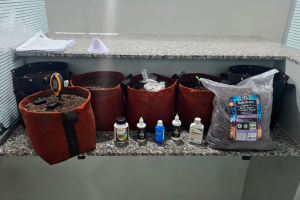 PM localiza estufa de maconha em residência e prende homem no Jd. Santo André, em Limeira