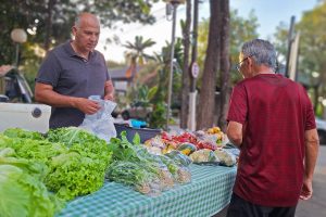 Prefeitura celebra o Dia Mundial do Campo com ações na Feira do Produtor