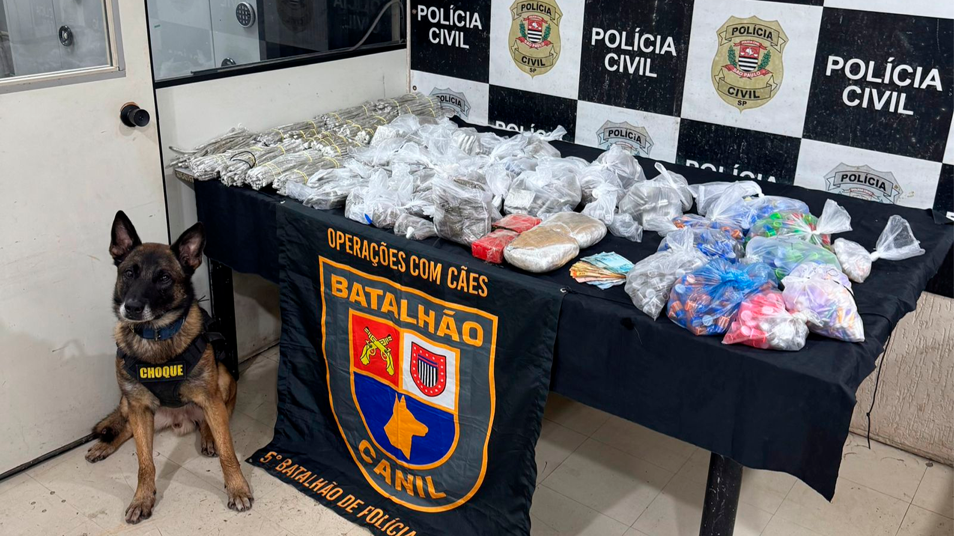 Cão policial encontra drogas em parede falsa de casa em SP