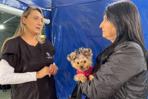 Cras Aeroporto recebe mutirão de castração gratuita de cães e gatos