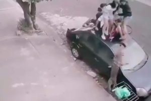 Crianças vivem momentos de pânico após ataque de pitbull em Jaboticabal