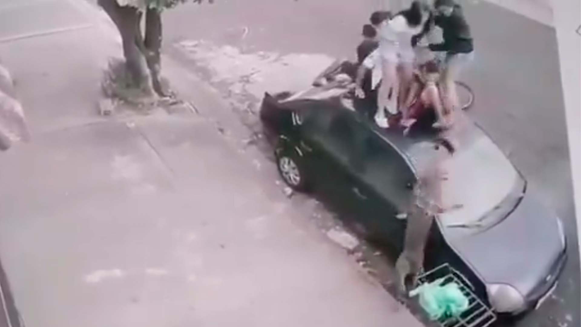 Crianças vivem momentos de pânico após ataque de pitbull em Jaboticabal