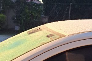 Frio intenso atinge Limeira nesta quarta; áreas rurais registram -2C