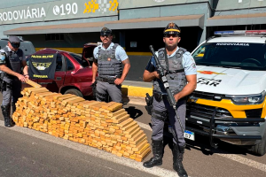 Homem com passagens por furto e tráfico é preso com 400 kg de maconha