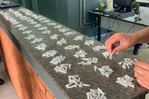 Homem é preso com mais de 500 pinos de cocaína em Limeira