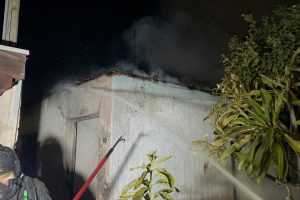IMG_8590