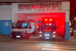 Pai e filho ficam feridos após serem atacados por pitbull em Limeira