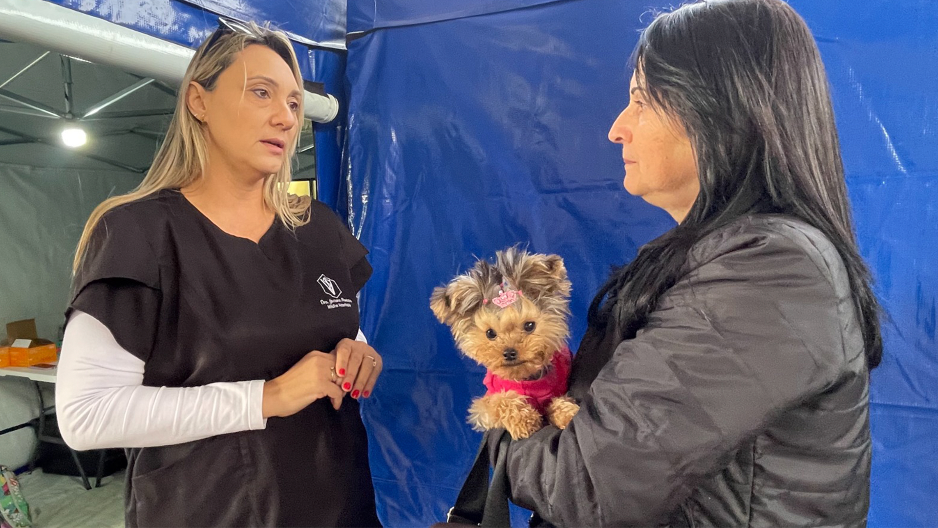 CEU das Artes Geada recebe mutirão de castração gratuita de cães e gatos