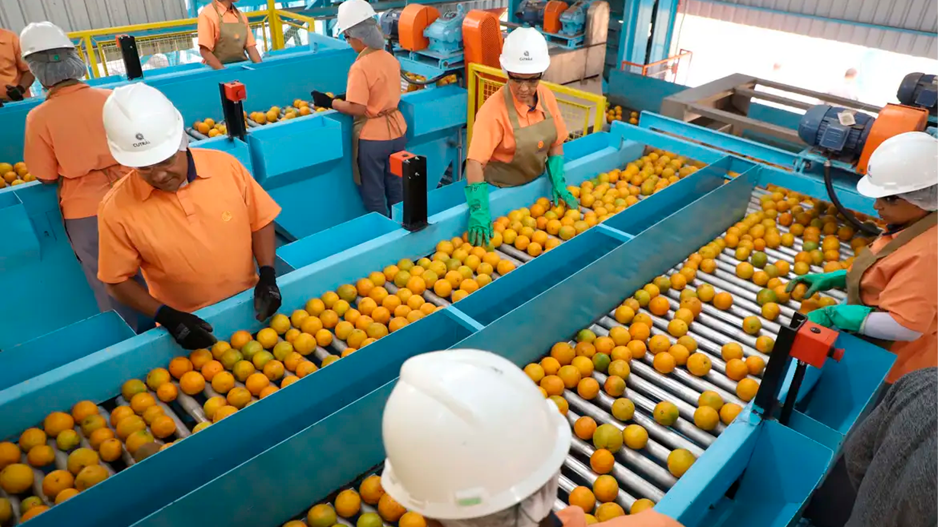 Confira a lista de quase 700 produtos que não serão taxados pelos EUA