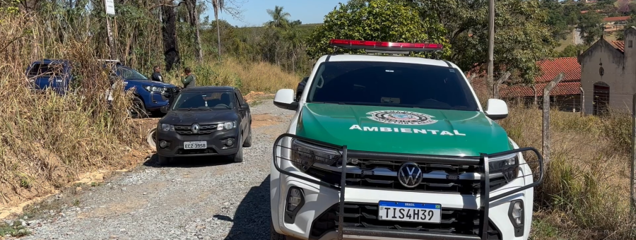 Homem é denunciado por desmatamento irregular nos Pires, em Limeira