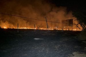 Incêndio criminoso atinge área de mata às margens da Anhanguera em Limeira