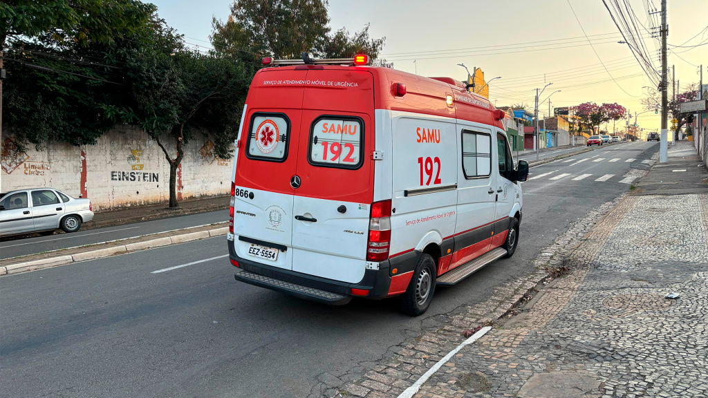 Sem Título-2