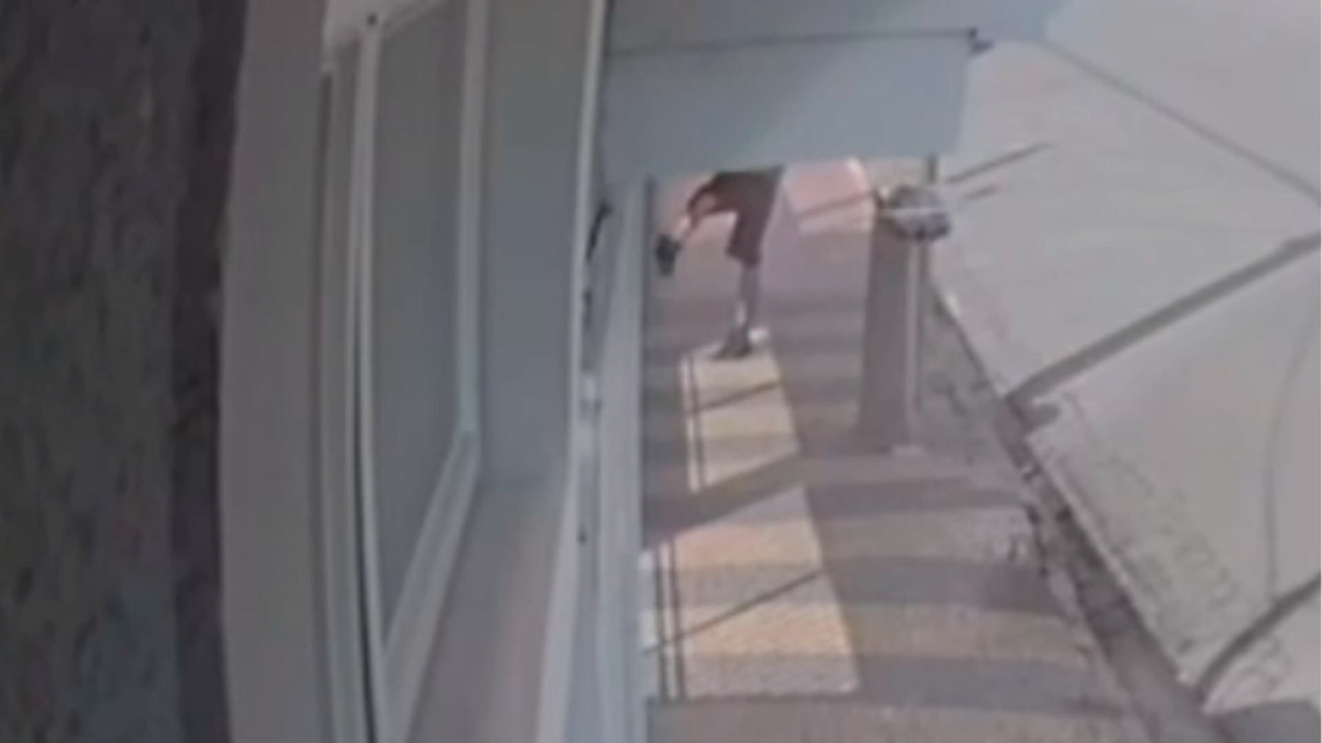 Veja imagens de homem agredindo cachorra que fraturou o maxilar em Limeira