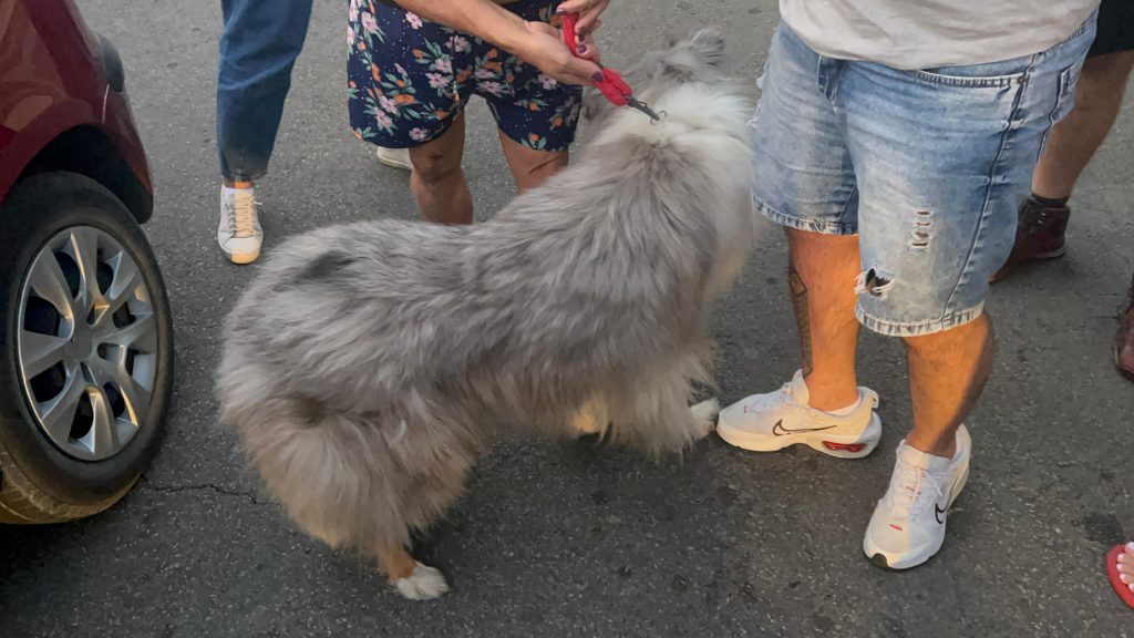 2e4bcf92-ca80-4d20-a0ca-311e78f296a6