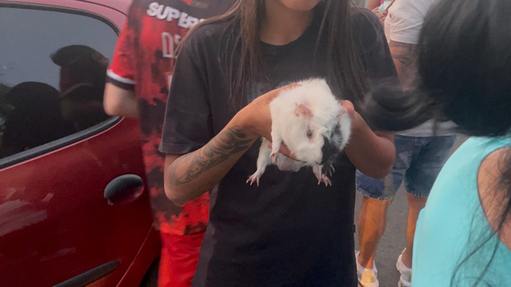 736dd8f5-8ee0-4de0-a558-6b53202af7bf