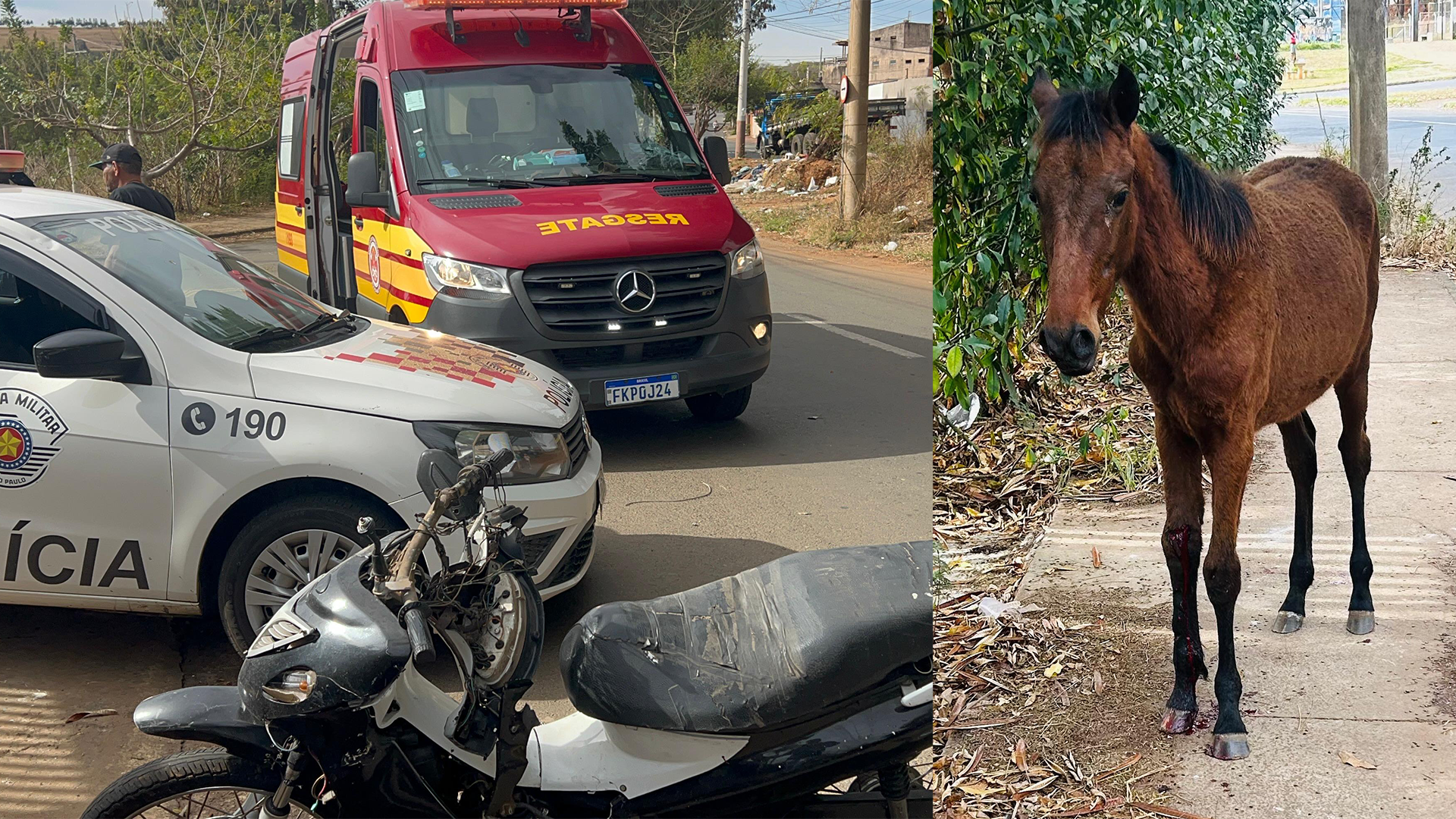 Acidente entre moto e cavalo deixa duas mulheres feridas em Limeira