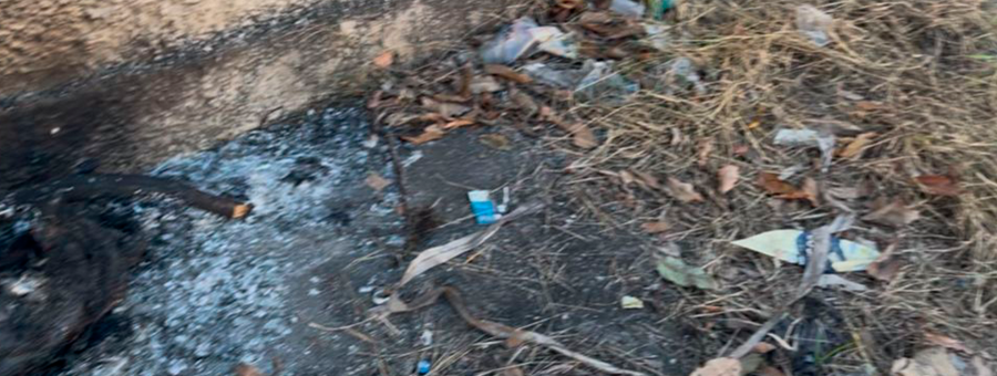 Cachorro é encontrado carbonizado em calçada no Jardim Barão de Limeira