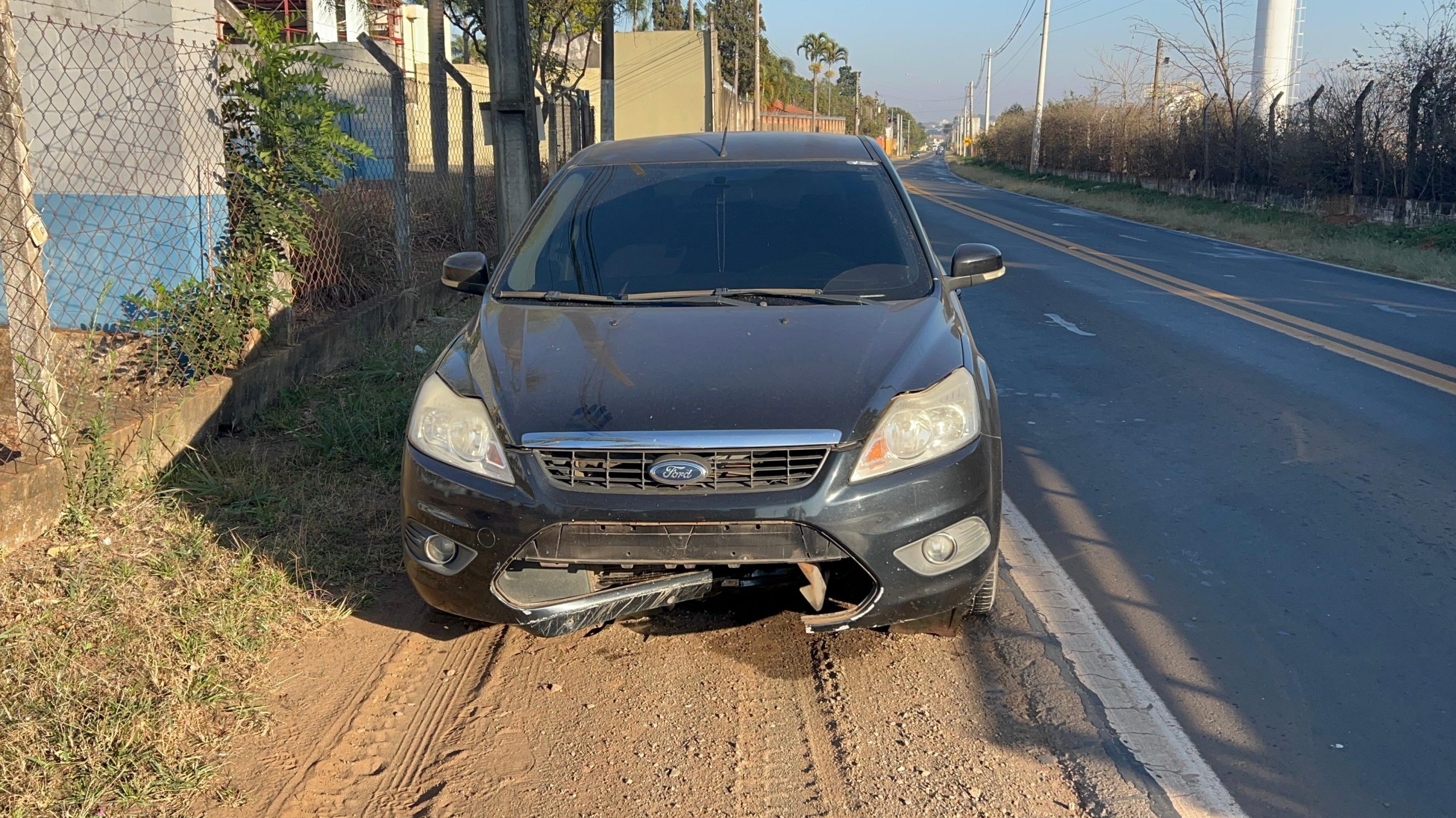 Ford Focus- atropelamento pitbull