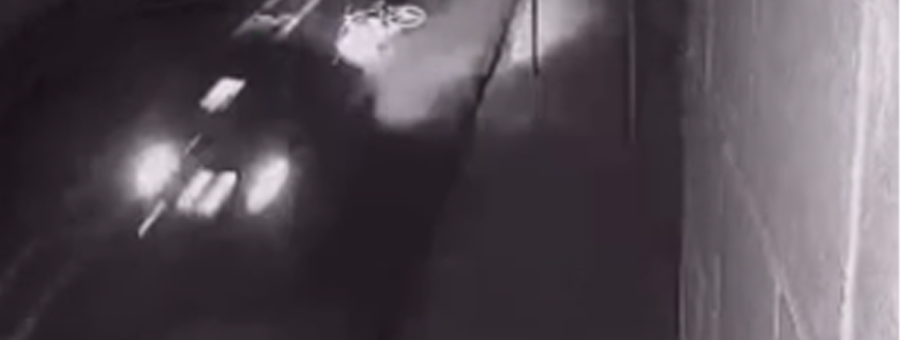 Homem que atropelou ciclista em Limeira se apresenta na delegacia