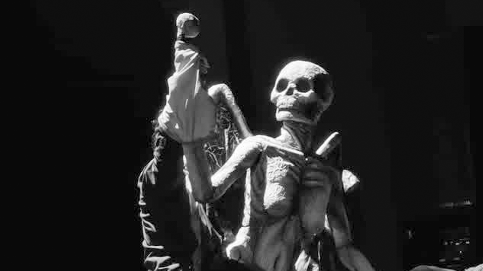 Mostra “Bonecos sem Fronteiras” segue até este sábado