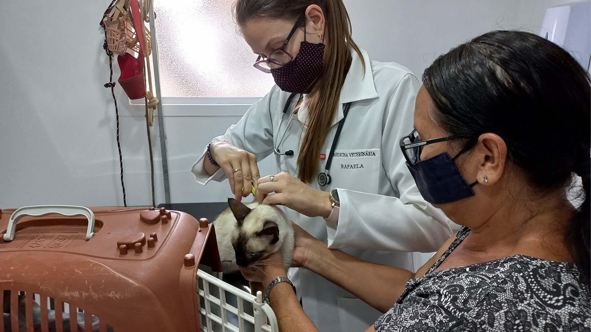 Após aprovação na Câmara, Limeira ganhará clínica veterinária gratuita em novembro