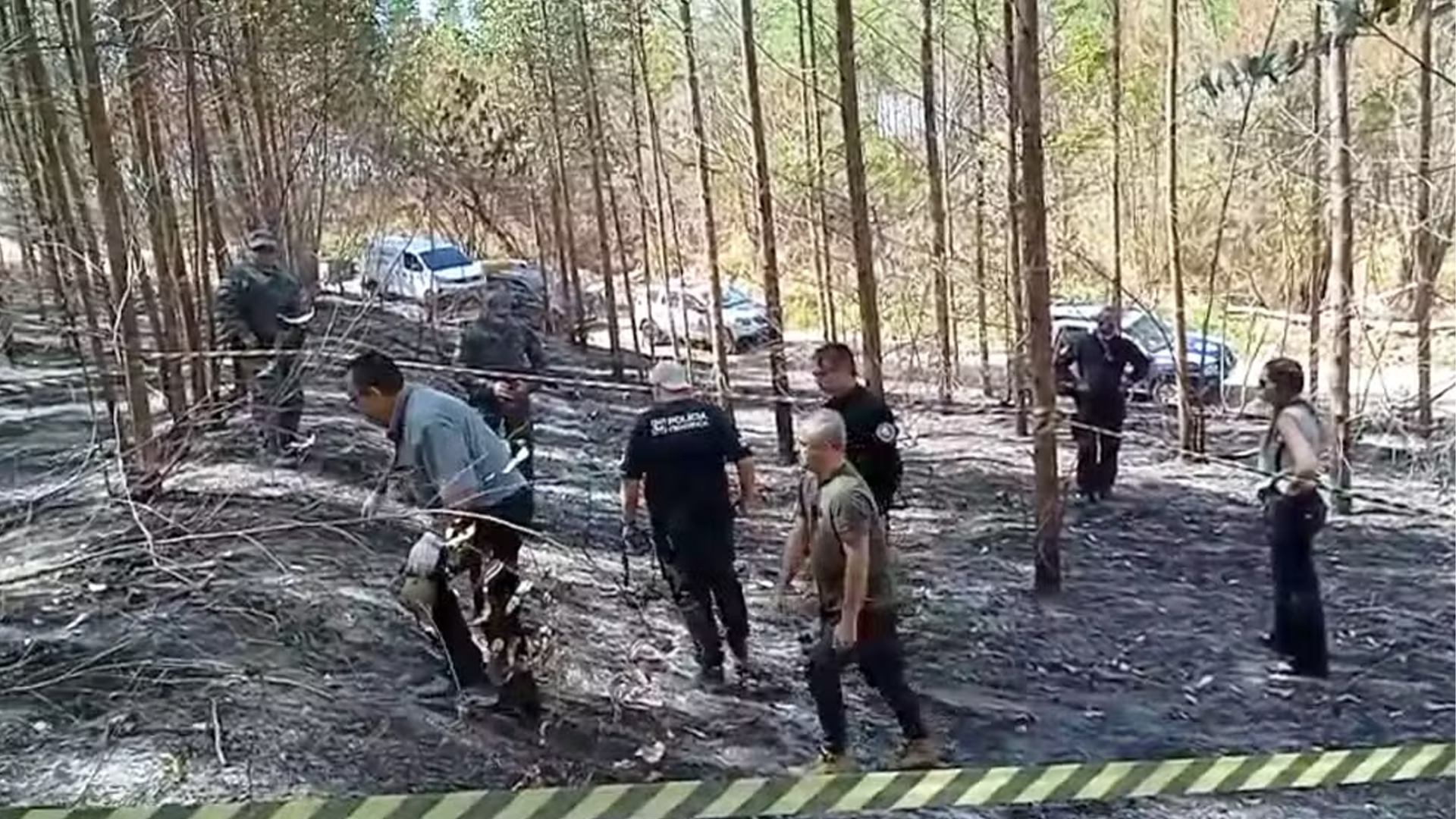 Carne humana e ossadas são encontradas em área de eucaliptos em Piracicaba