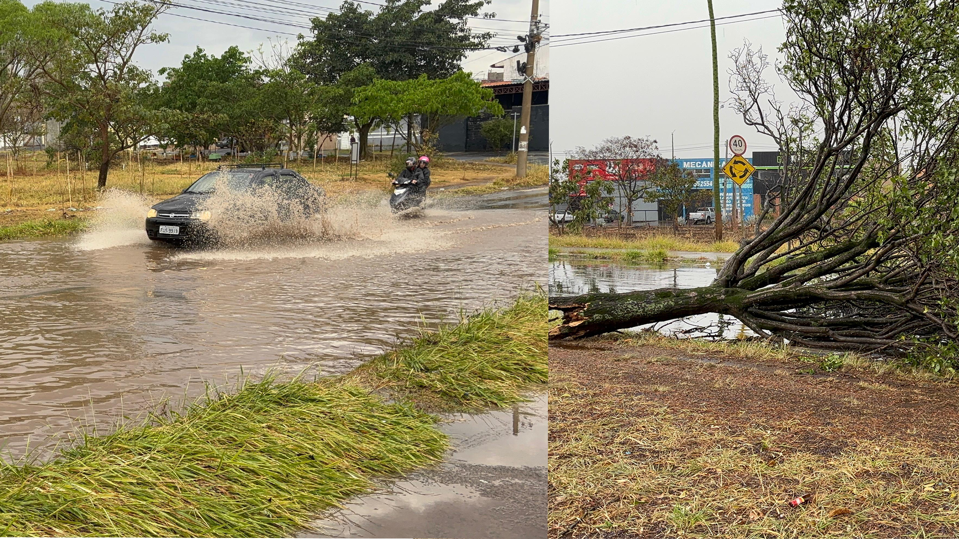 Chuva em Limeira tem queda de árvores, alagamento e falta de energia