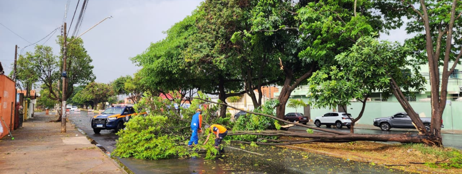 Defesa Civil alerta para previsão de novos temporais em Limeira